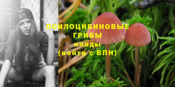 кристаллы Нягань