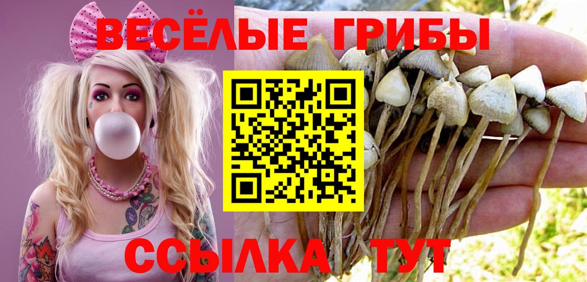 Галлюциногенные грибы мицелий Волжский