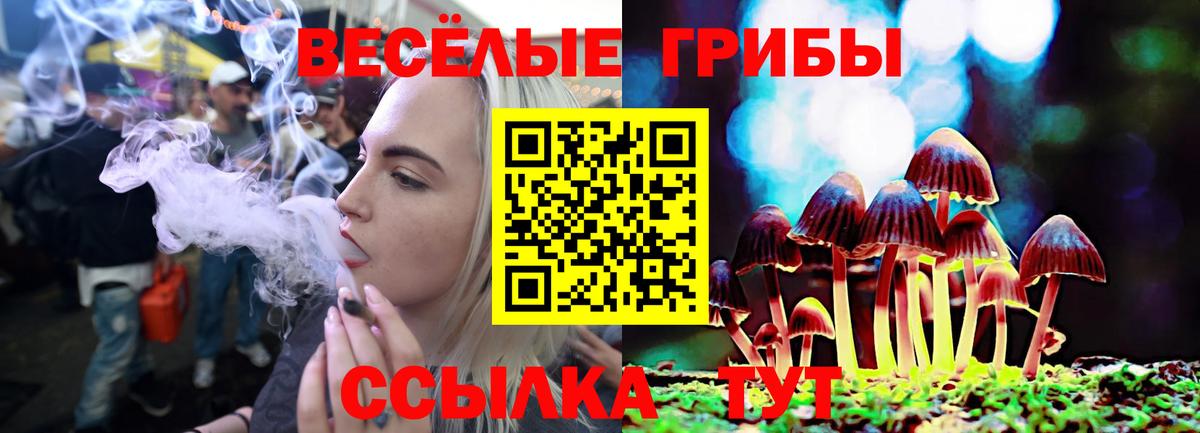 Галлюциногенные грибы MAGIC MUSHROOMS  Волжский 